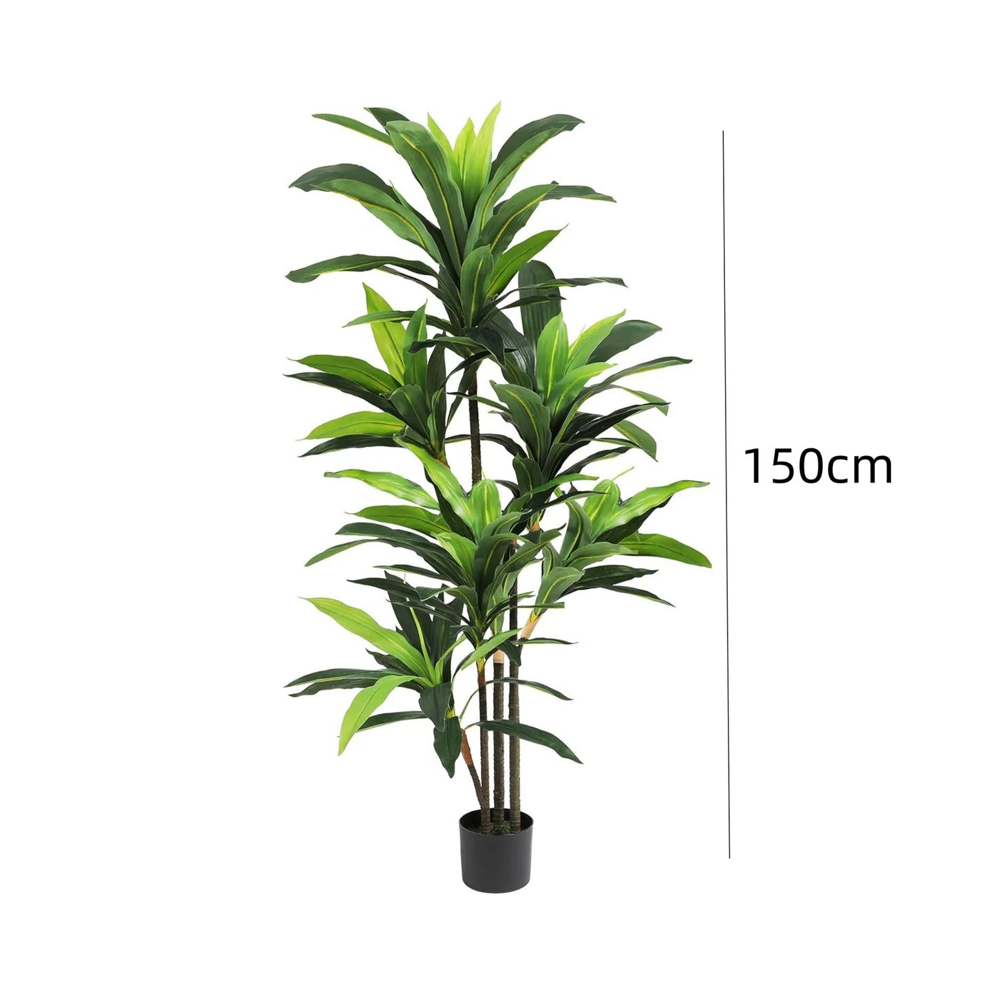 Guangdong Dracaena Artificial Indoor Plant