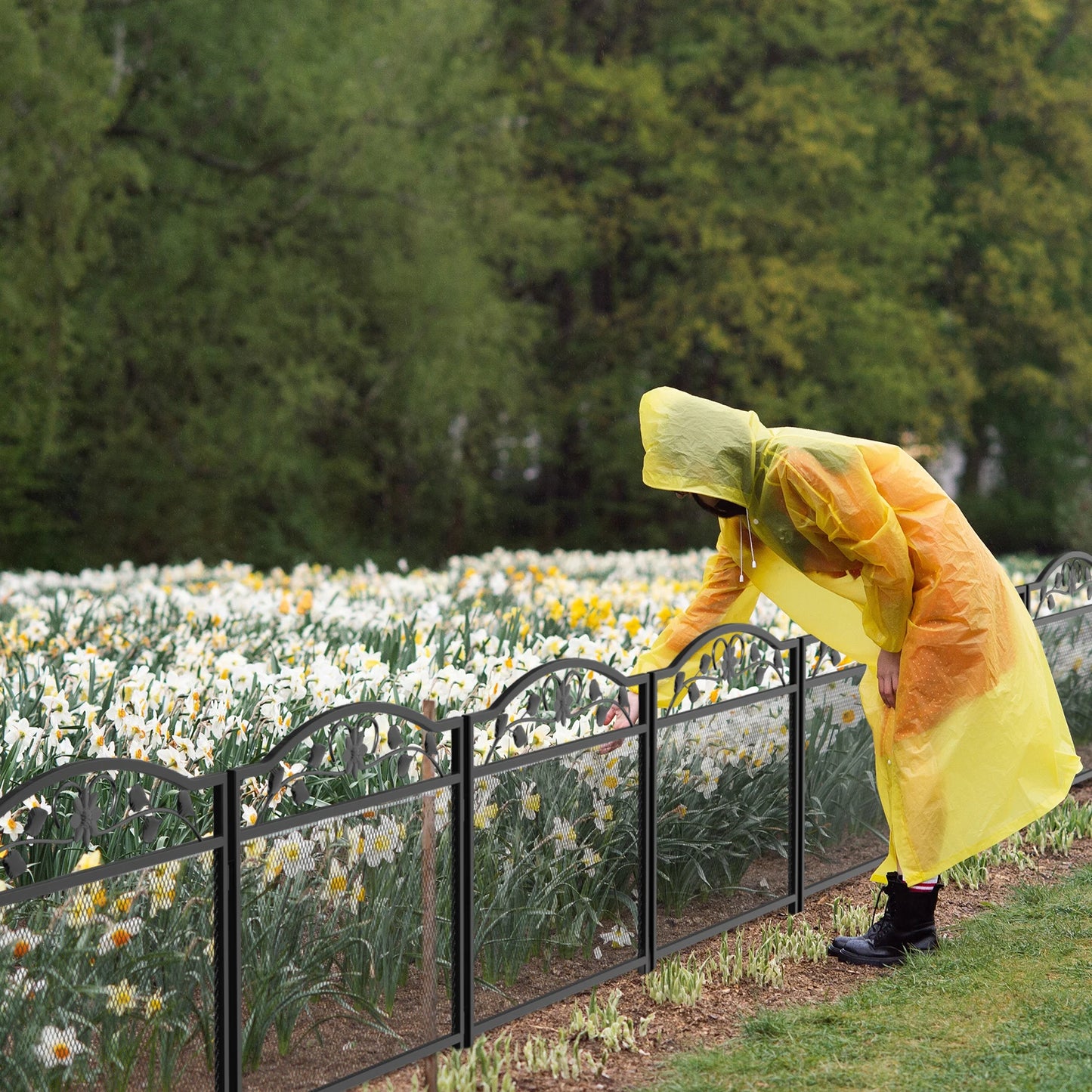 Feature 5 Panel Decorative Garden Fence Iron Path Gate