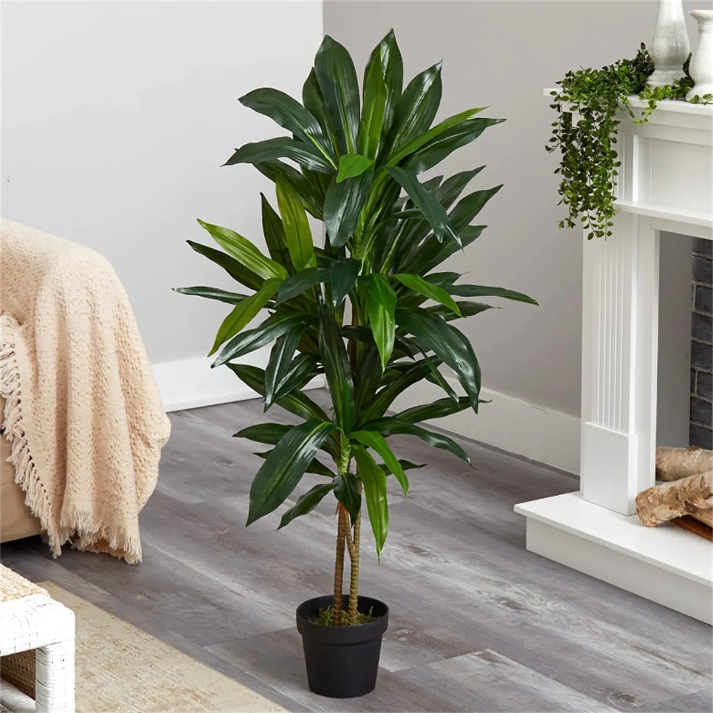 Guangdong Dracaena Artificial Indoor Plant
